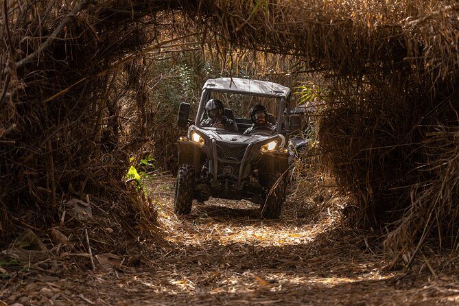 3-hour tour by Buggy or Quad in the Algarve - The Guide Factor: Professional Setups and Fun, Not Just Rules