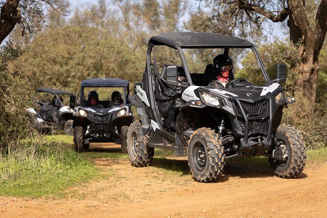 90-minute Buggy or Quad tour in the Algarve - 90 Minutes of Buggy Power Near Almancil
