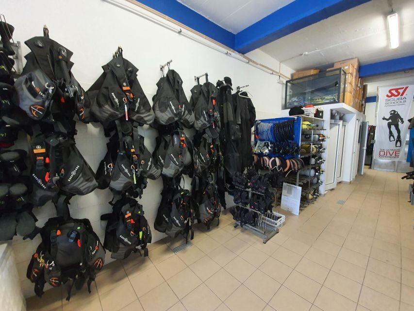 Albufeira: 2 DIVES TRIP (ONLY CERTIFIED DIVERS) - Key highlights worth planning around
