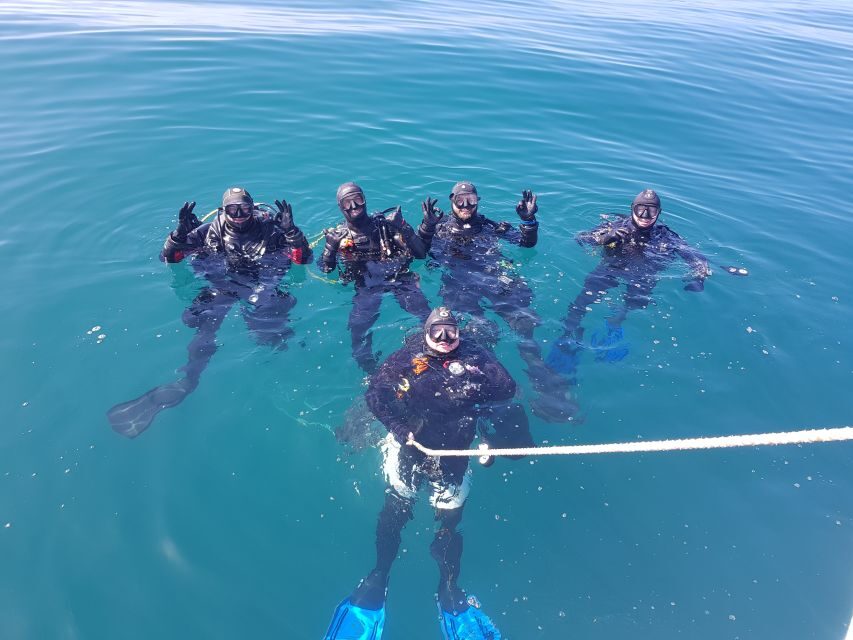 Albufeira: 2 DIVES TRIP (ONLY CERTIFIED DIVERS) - Certified Divers Only: What the Rules Mean for Your Day