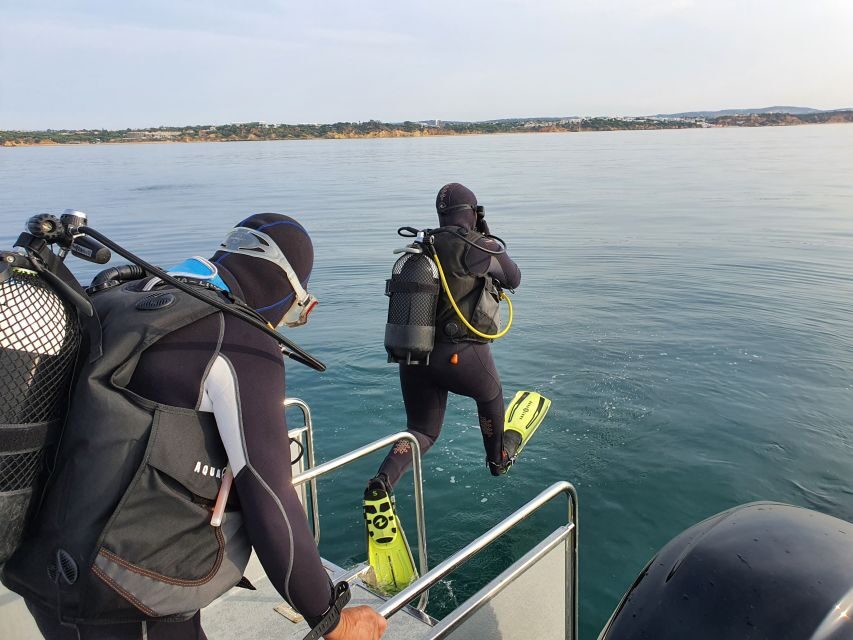Albufeira: 2 DIVES TRIP (ONLY CERTIFIED DIVERS) - Meeting at Easydivers in Albufeira: The 8:30 AM Flow