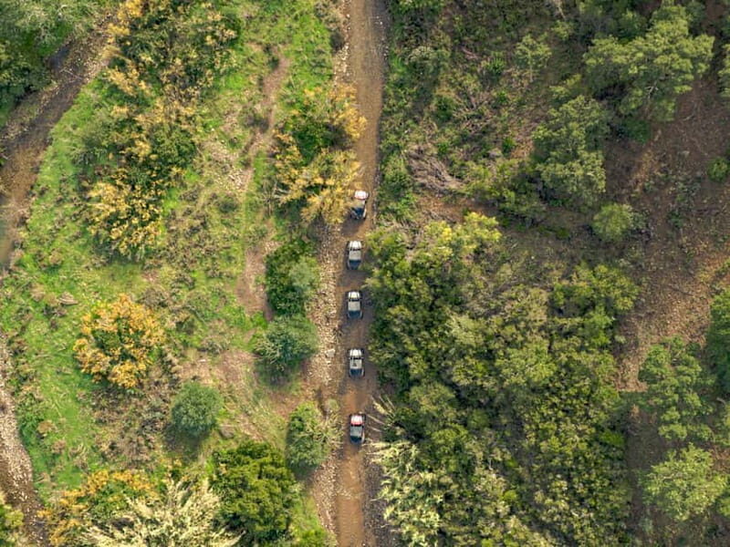 Albufeira: Full Day Off-Road Buggy Tour with Lunch & Guide - The Ride: villages, orange groves, cork oak forests, and hills