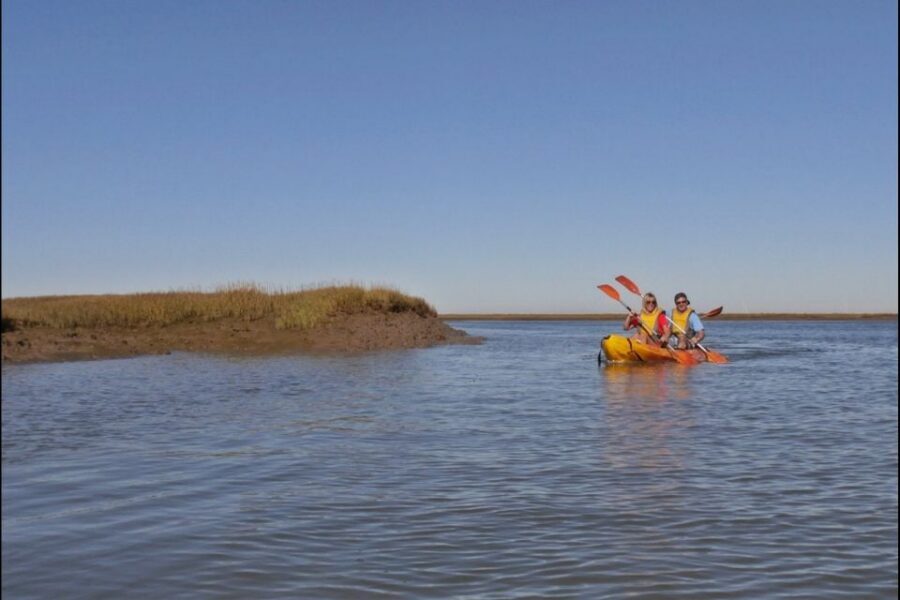 Algarve: 2-Hour Ria Formosa Kayak Tour from Faro - Why Ria Formosa by kayak feels different than sightseeing