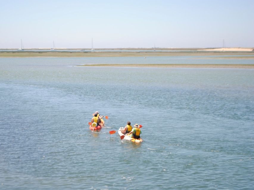 Algarve: 2-Hour Ria Formosa Kayak Tour from Faro - The guided hour: channels, marshes, and wildlife you can actually track