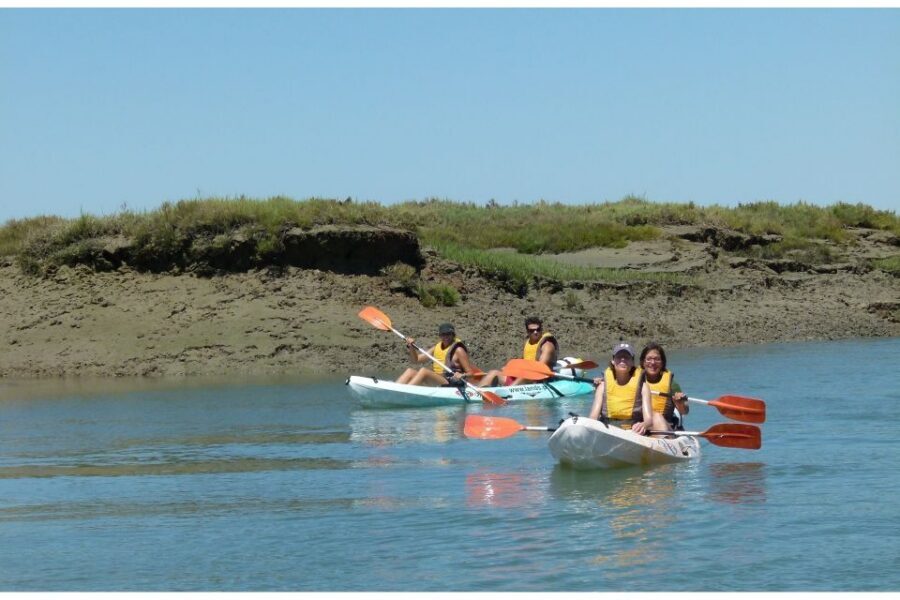 Algarve: 2-Hour Ria Formosa Kayak Tour from Faro - Stop for a break on an islet, then the return route past Faro