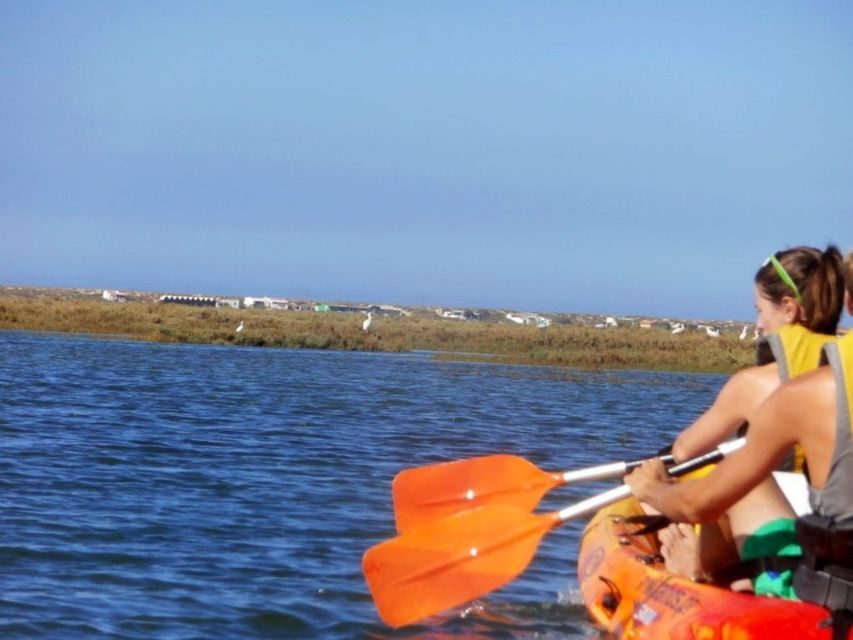 Algarve: 2-Hour Ria Formosa Kayak Tour from Faro - Price and value: what you’re paying for at $57 per person