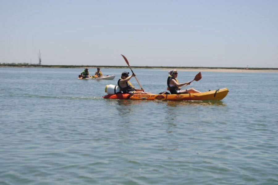Algarve: 2-Hour Ria Formosa Kayak Tour from Faro - Who should book this kayak tour in Faro