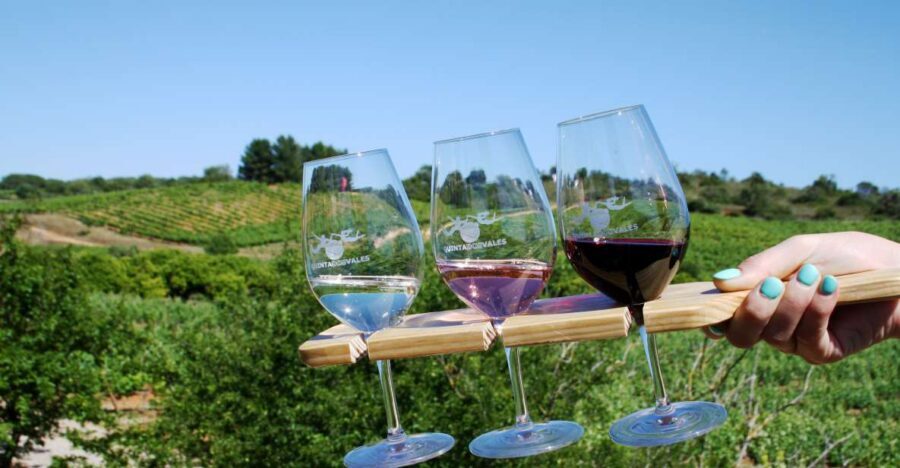 Algarve: 3 Types of Wine Tastings with Vineyard Views - Quinta dos Vales: a calm Algarve winery day, without the big tour machine