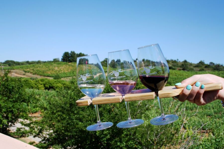 Algarve: 3 Types of Wine Tastings with Vineyard Views - After your tasting: sculpture gardens with time to wander