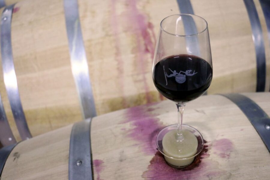 Algarve: 3 Types of Wine Tastings with Vineyard Views - Price and value: is $19 worth it?