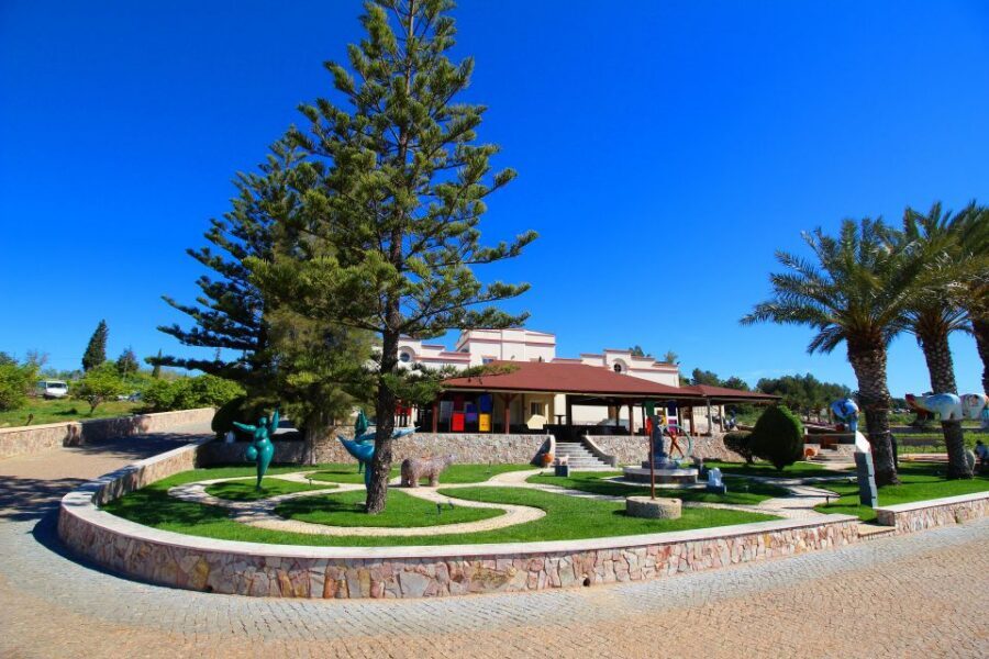 Algarve: 3 Types of Wine Tastings with Vineyard Views - Your tasting: choosing 3 wines and getting real guidance