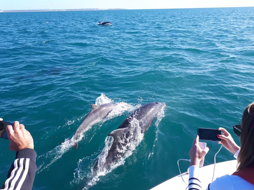 Algarve: Boat Trip to the Caves of Benagil - The route starts on the Arade River (not out at the deep sea)