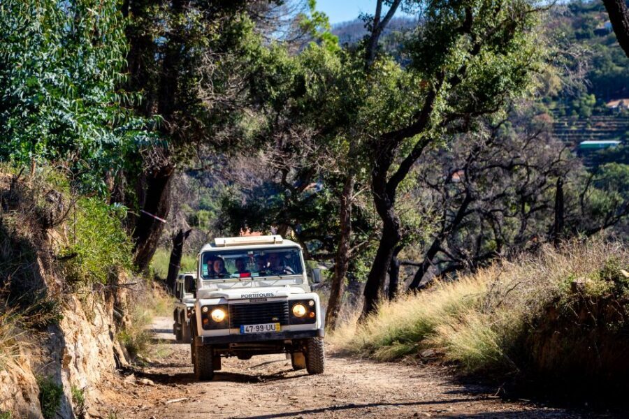 Algarve: Full-Day Boat and Jeep Tour - Who This Tour Suits Best (and Who Should Skip It)