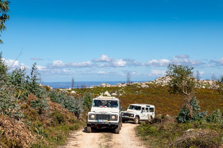 Algarve: Full-Day Guided Sightseeing Tour with Lunch - Silves: Narrow Streets, Castle Exteriors, and a Cathedral Choice