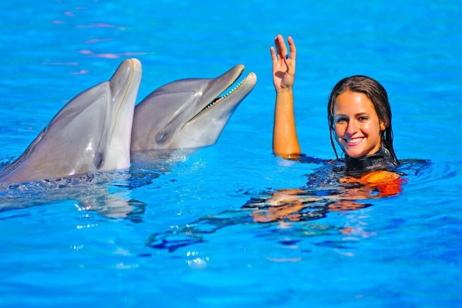 Algarve Zoomarine Ticket and Dolphin Emotions Experience - Spectators, photos, and the “value” side of the deal