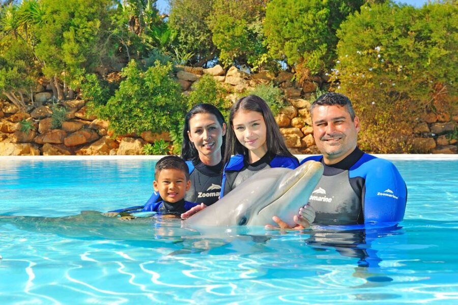 Algarve Zoomarine Ticket and Dolphin Emotions Experience - Zoomarine Algarve: where your day starts (and how to plan it)