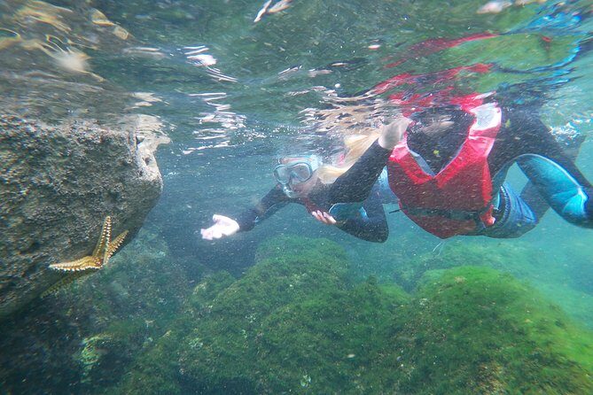 Coasteering adventure with snorkeling: kids version - The kids version for ages 7+: what lighter really means