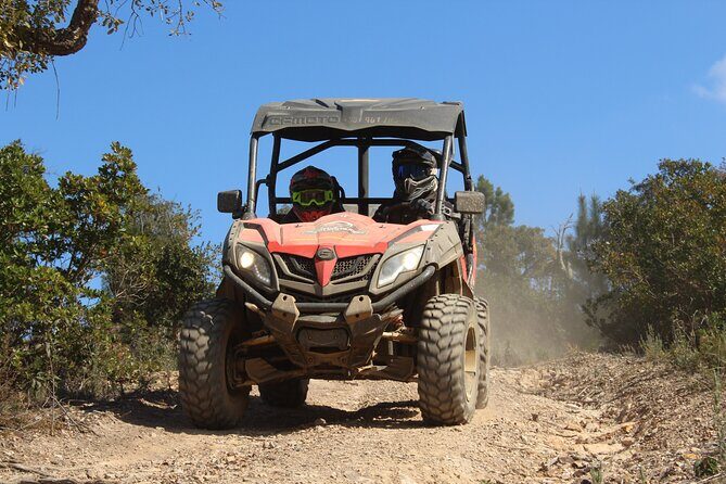 Dirt & Dust Buggy Tour - Key things that make this buggy tour worth it