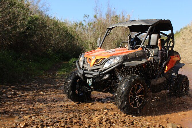 Dirt & Dust Buggy Tour - Price and value: is $156 per group actually fair?