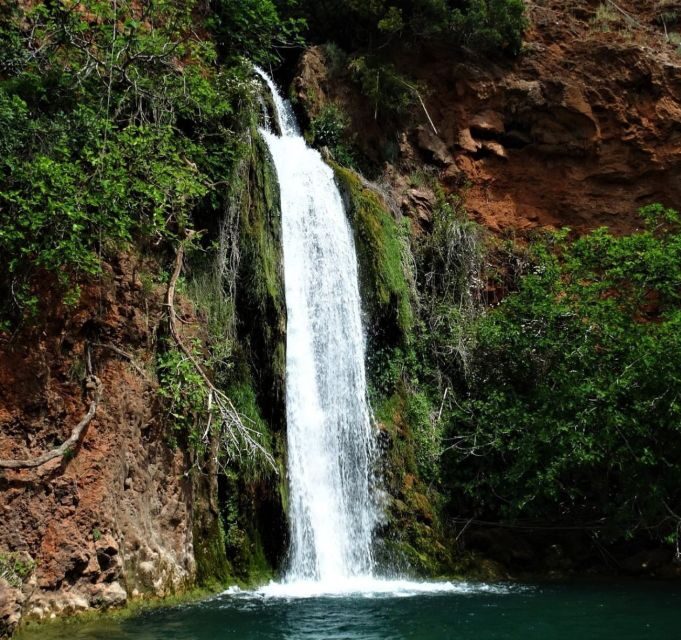 Discover Secrets of the Algarve Countryside By Tuk-Tuk - Key things I’d plan around