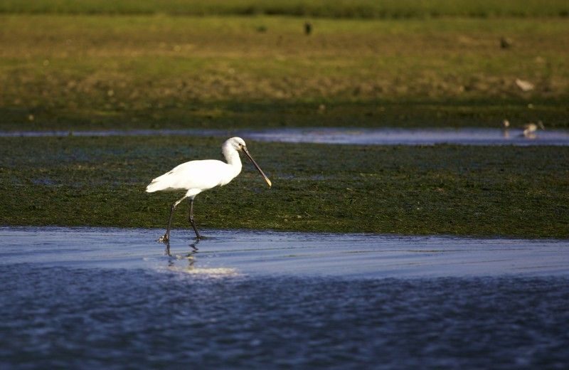 Faro Bike Tour through the Beautiful Ria Formosa - What to bring so you don’t cook on a coastal route