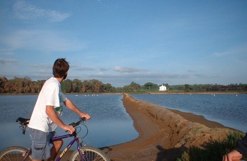 Faro Bike Tour through the Beautiful Ria Formosa - Entering the Ria Formosa by bike (the smartest way to move)