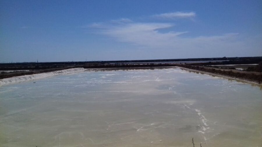 Faro Bike Tour through the Beautiful Ria Formosa - Saltpans and flamingos: where the trip gets real