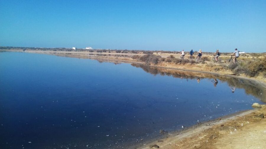 Faro Bike Tour through the Beautiful Ria Formosa - Marshlands and channels: the bike ride becomes a lesson
