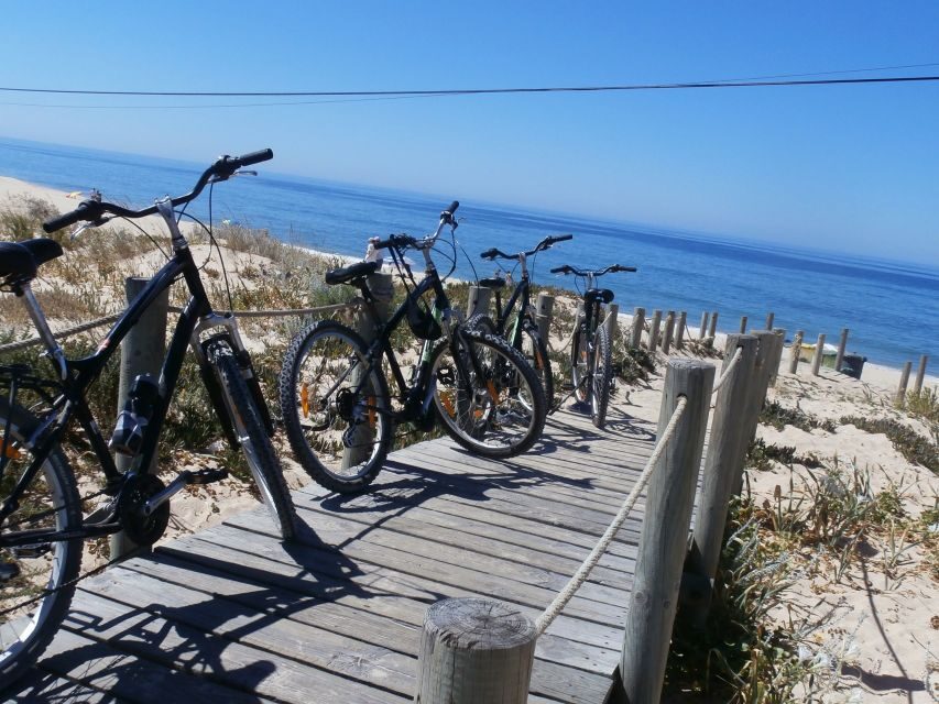 Faro Bike Tour through the Beautiful Ria Formosa - Praia de Faro: the payoff stop for a break and a swim