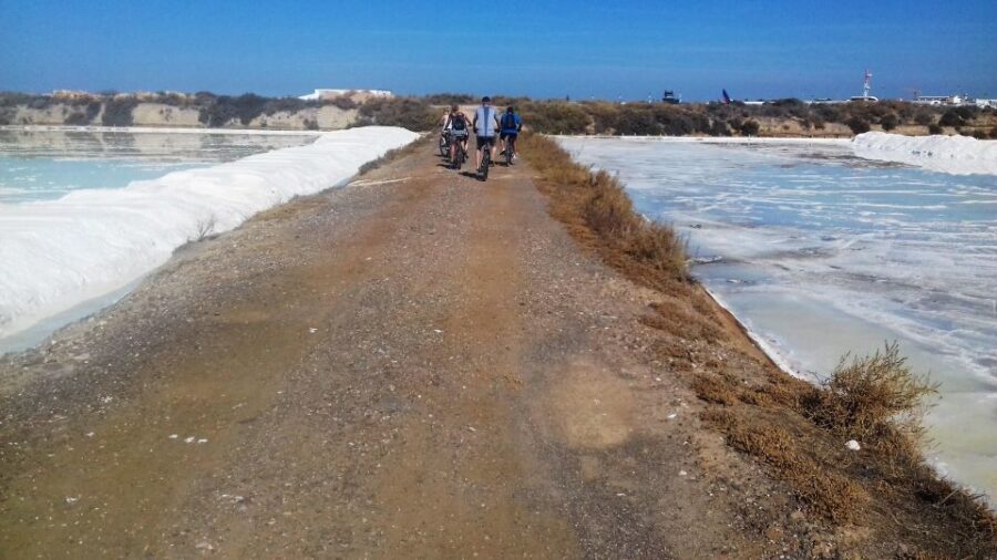 Faro Bike Tour through the Beautiful Ria Formosa - Price and what you truly get for $58