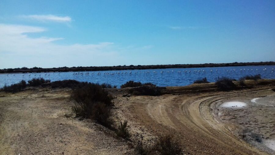Faro Bike Tour through the Beautiful Ria Formosa - How hard is the ride, really