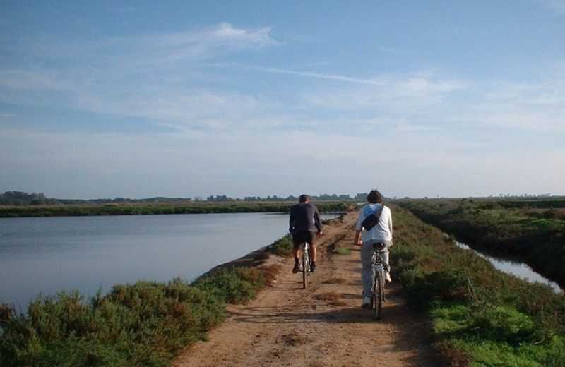 Faro Bike Tour through the Beautiful Ria Formosa - Getting started at Pure Nature Store in Faro
