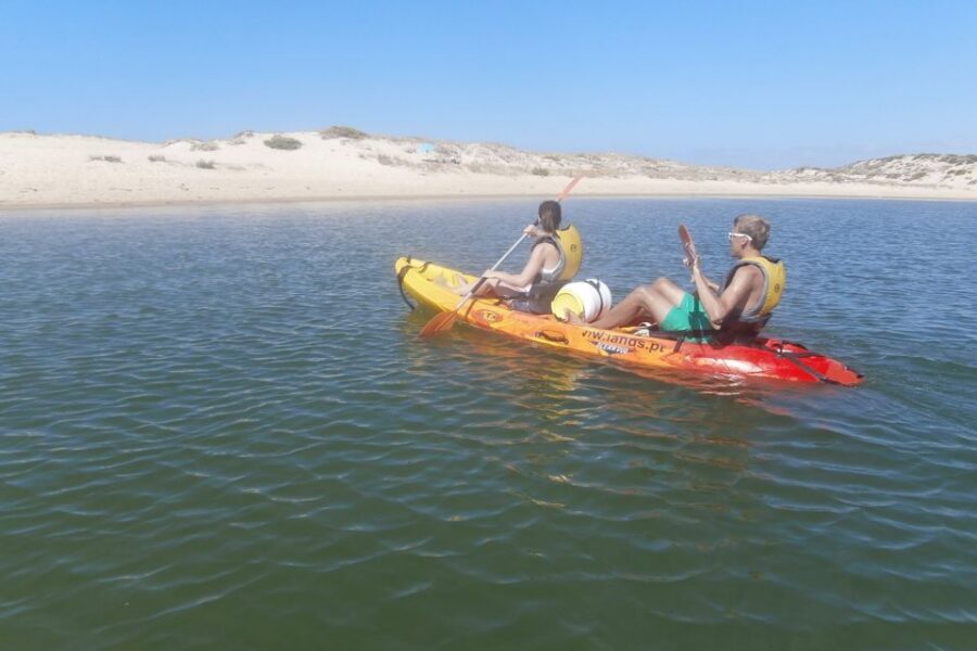 Faro: Kayak Hire in Ria Formosa Natural Park - Choosing the right Rotomod kayak: solo, duo, or family setup