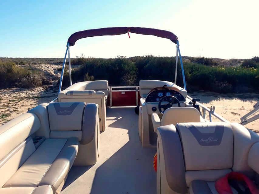 Faro: Ria Formosa Boat Tour - Who this tour is best for (and who should skip it)