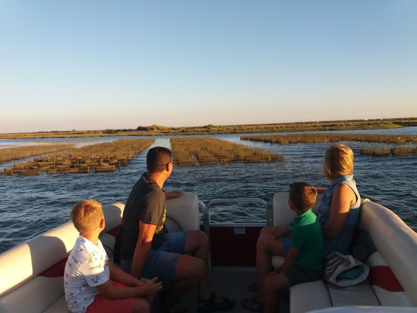 Faro: Ria Formosa Boat Tour - Getting to the boat: Faro meetup at Islands 4 you