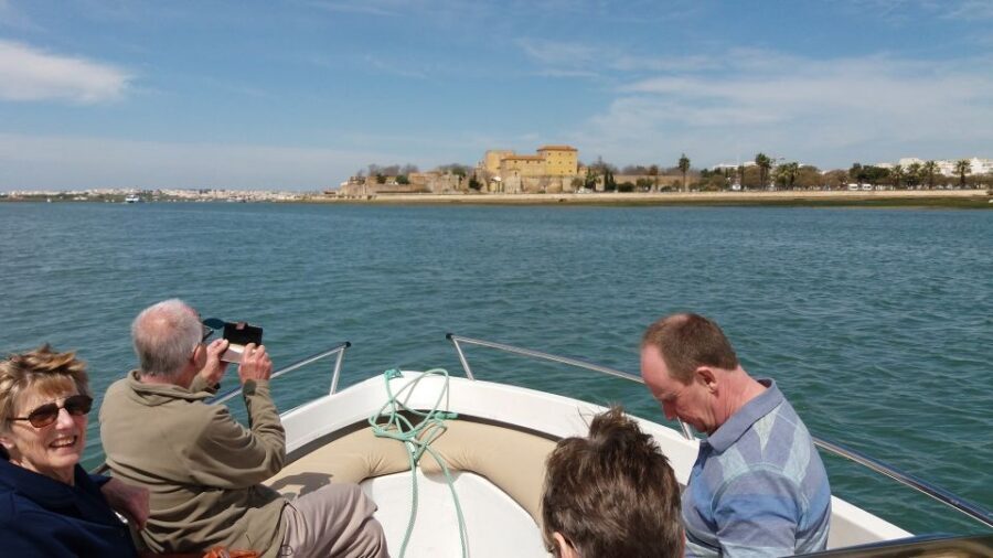 Faro: Ria Formosa Boat Tour - Parque Natural da Ria Formosa: marshes, channels, and wildlife viewing