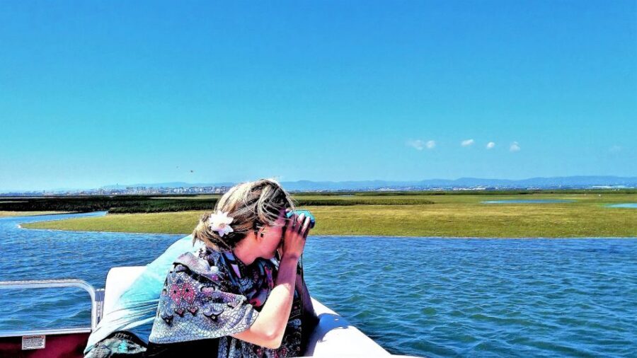 Faro: Ria Formosa Boat Tour - 1.5 hours on the water: the itinerary rhythm and what you gain