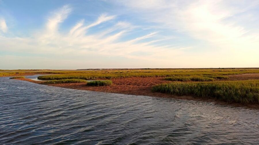 Faro: Ria Formosa Boat Tour - Price and value: is $31 a fair deal?