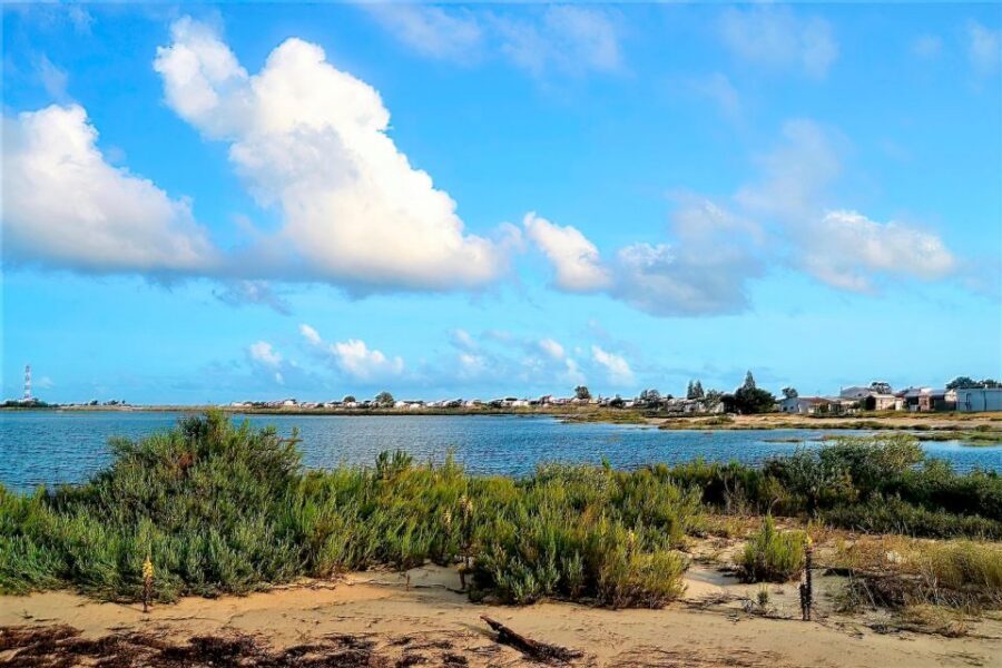 Faro: Ria Formosa Boat Tour - What to bring and how to dress for the lagoon