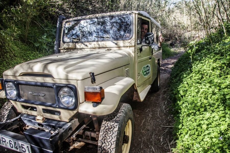 From Albufeira: Algarve Sunset Jeep Tour with Tastings - Pickup, Open-Jeep Reality, and What to Bring