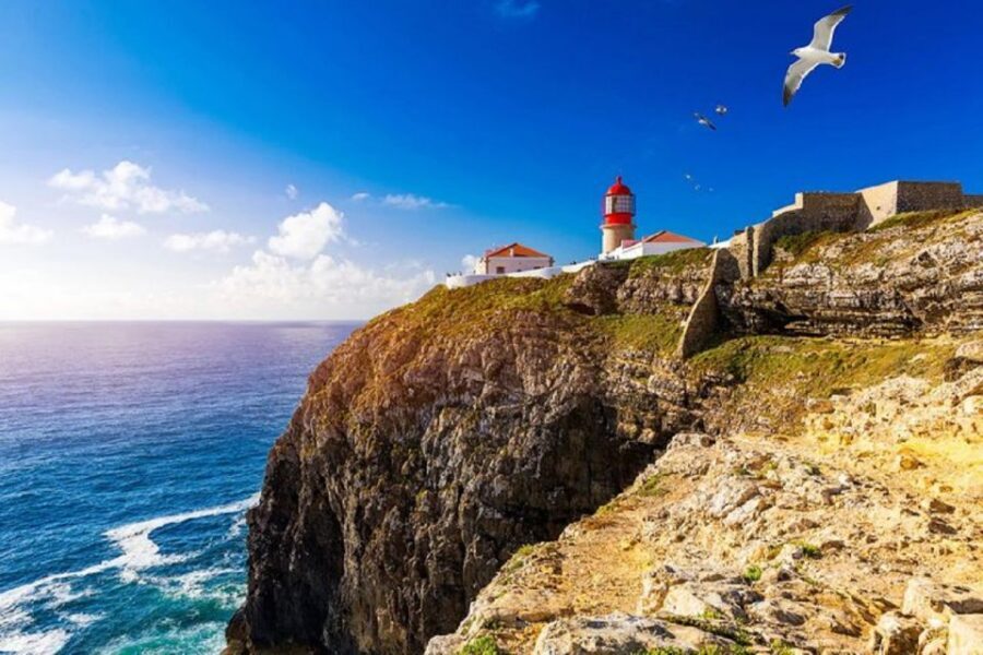 From Albufeira: Half-Day Lagos & Sagres Highlights Tour - Key Things I’d Bank On Before You Go