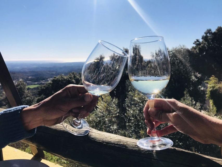 From Albufeira: Wine Tasting & Historic Silves Tour - Key things to know before you go