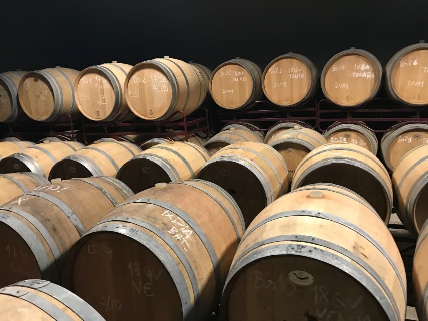 From Albufeira: Wine Tasting & Historic Silves Tour - Who should book this Albufeira wine and Silves tour