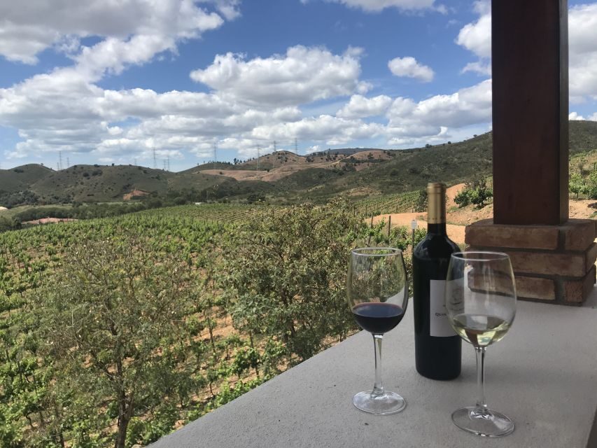 From Albufeira: Wine Tasting & Historic Silves Tour - Guides, communication, and why the experience feels personal