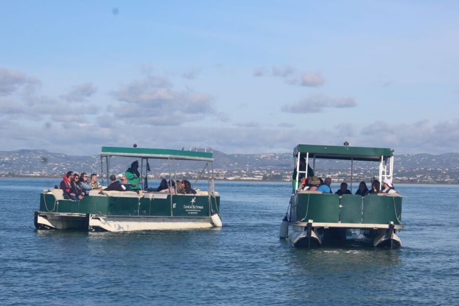 From Faro: 4 Stops, 3 Islands in Ria Formosa Catamaran Tour - Entering the Ria Formosa from Faro: what this day trip really is