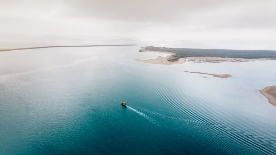 From Faro: Ria Formosa Eco Tour guided by Marine Biologist - Key highlights you should care about