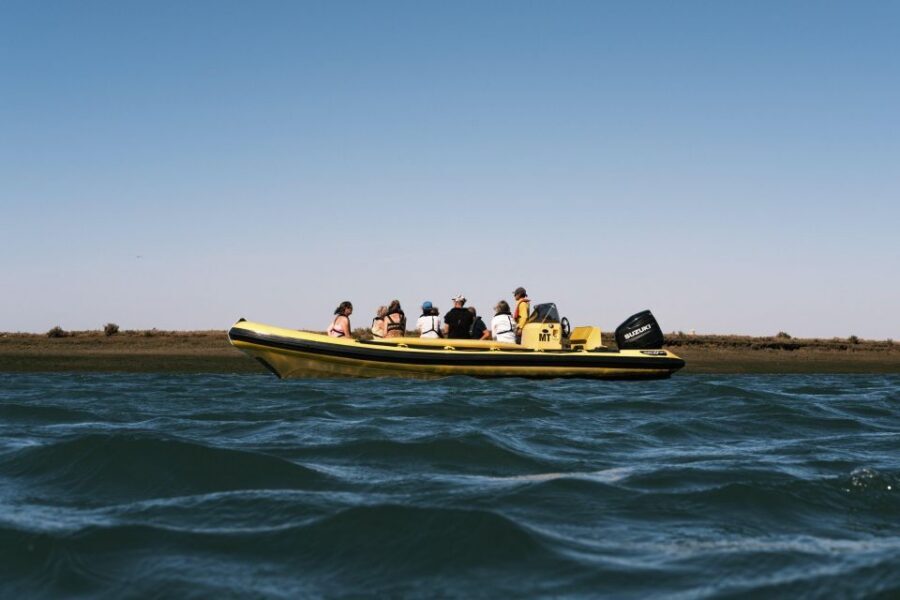 From Faro: Ria Formosa Eco Tour guided by Marine Biologist - Should you book From Faro: Ria Formosa Eco Tour with a marine biologist?