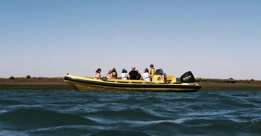 From Faro: Ria Formosa Eco Tour guided by Marine Biologist - Where Ria Formosa ends and Portugal’s edge begins: Ilha Deserta and Cabo Santa Maria