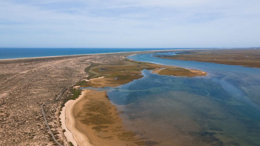 From Faro: Ria Formosa Eco Tour guided by Marine Biologist - Estaminé lunch on Desert Island: Algarve flavors with a time anchor