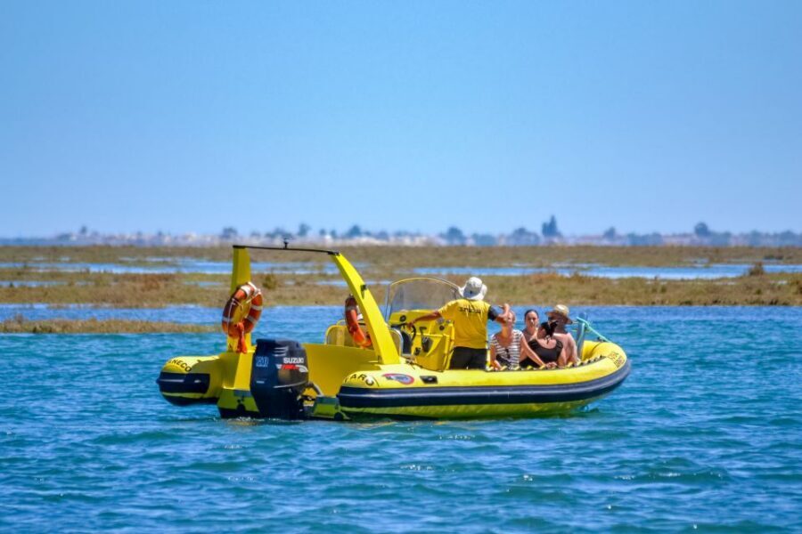 From Faro: Ria Formosa Eco Tour guided by Marine Biologist - Price and value at about $41: what you’re really buying
